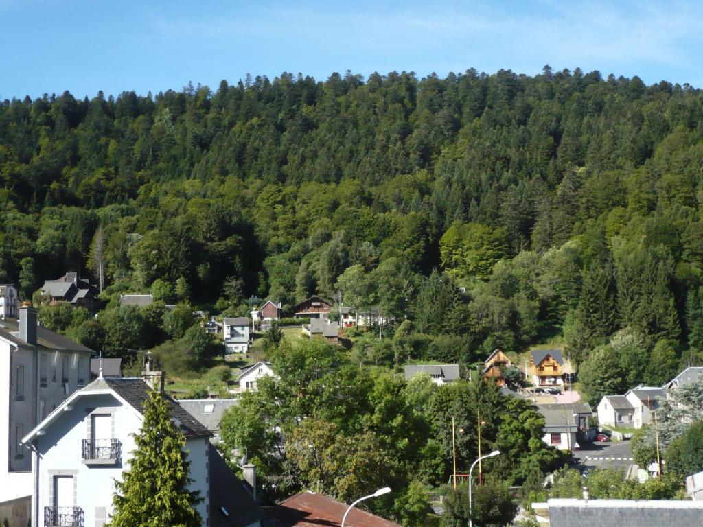 Residence Wilson Le Mont-Dore Pokoj fotografie